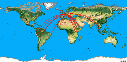Chart Route Network