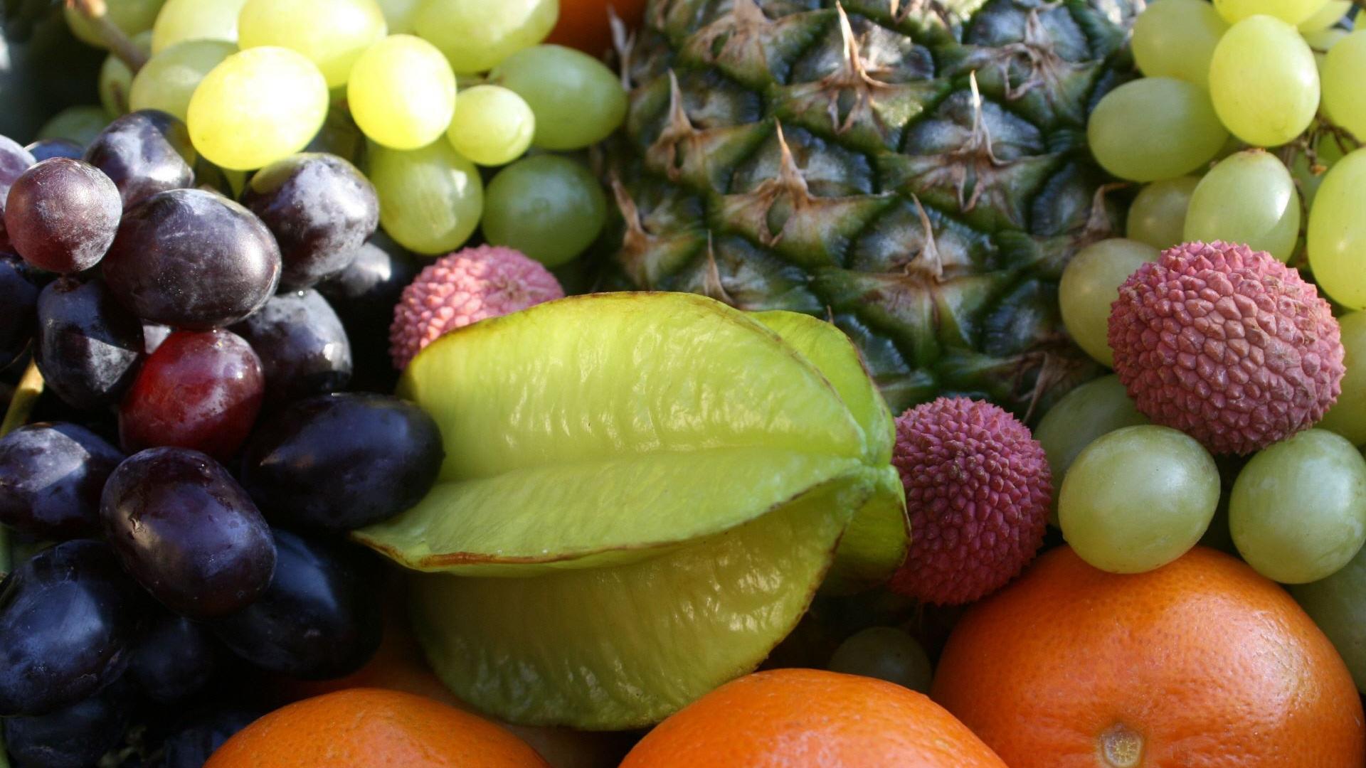 FreshLine Eyecatcher Obst